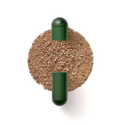 Daily Synbiotic